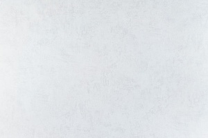 Обои винил 10597-01(1.06*10м)