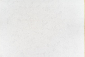 Обои винил 10515-01оr(1.06*10.05м)