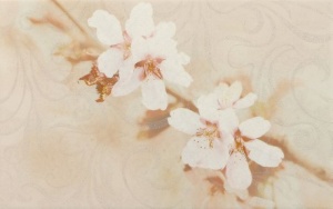 Кафель настенный Декор 250х400 Сакура кор  01