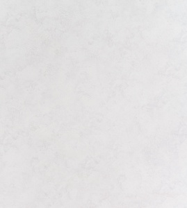 Обои винил 10556-01оr(1.06*10.05м)