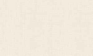 Обои винил 85003-28 WallDeccor АСПЕКТ РУ(0,53*10.05м)