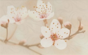 Кафель настенный Декор 250х400 Сакура кор  02