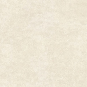 Обои винил 10632-06(1.06*10м)